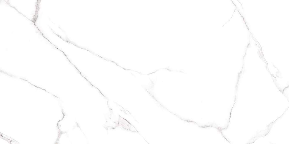 Carrara Белый GFU60120CRR00R Матовый Керамогранит 60x120