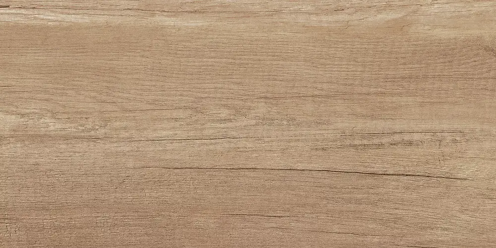 Miloni Бежевый TWU2550MLN04 Матовая 24,9x50