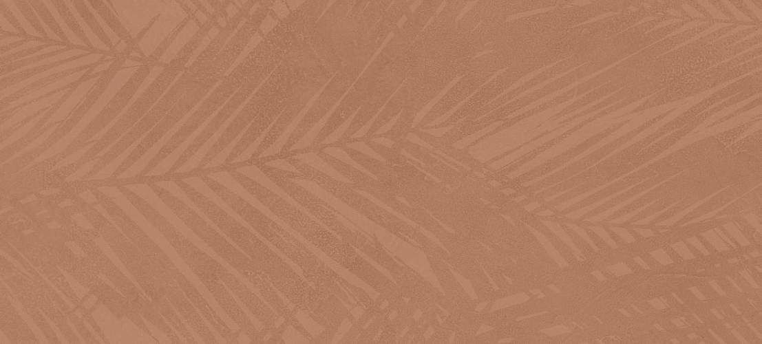 Boost Expression Life Sienna AZ6B 50x120