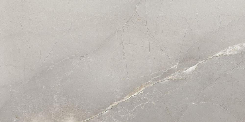 Passion Lux 90 Grey Глянцевая 45x90