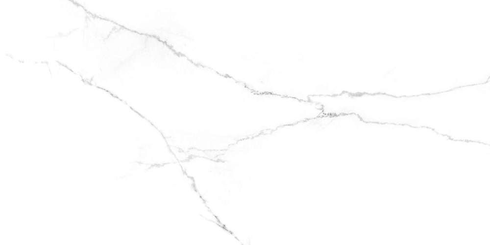 Discovery Blanco SG50002420R Белый Матовый Керамогранит 59,5x119,1