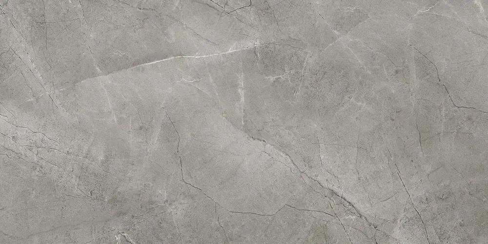 Rock Line Серый GFU60120RKL77R Матовый Керамогранит 60x120