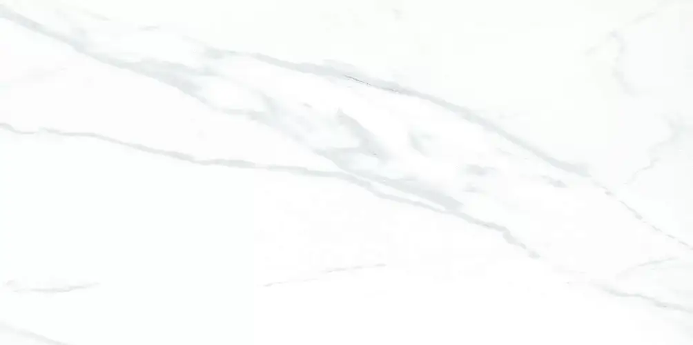 Julia Light WT9JUL00 Глянцевая 24,9x50