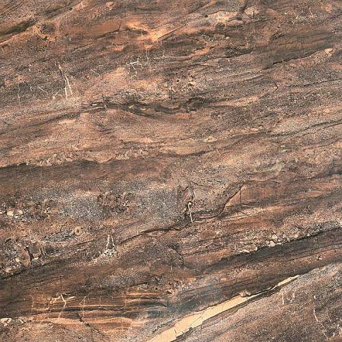 Spark 27 Коричневый 387551 Глянцевый Керамогранит 60x60