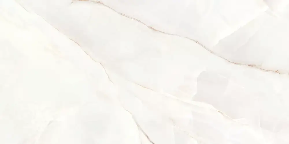 Maritime Белый TWU2550MRM04 Глянцевая 24,9x50