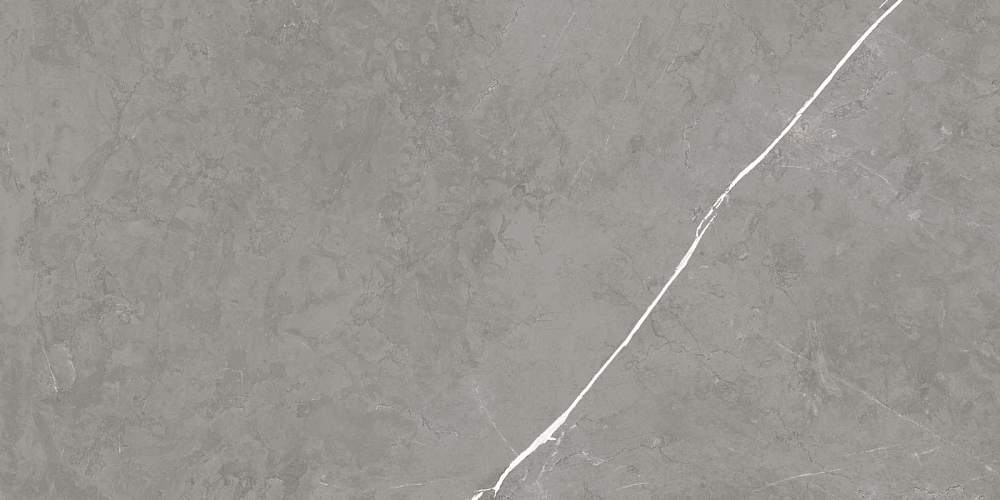 Elegant Grey Sat Керамогранит 60x120