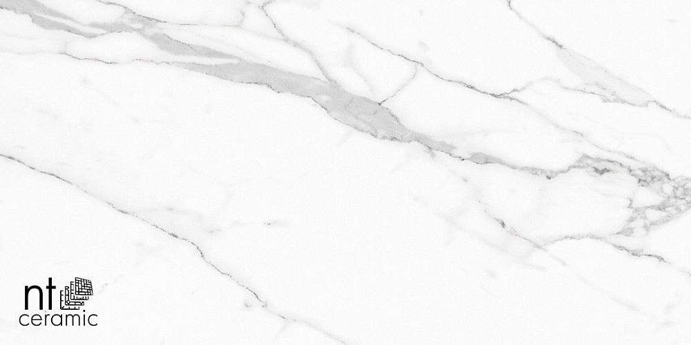 Statuario Infinity NTT9125M Керамогранит 60x120