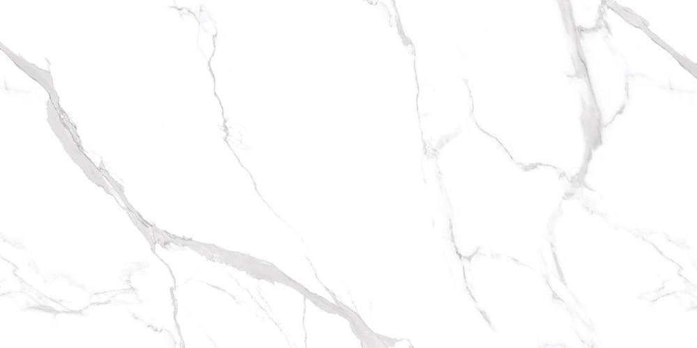 Marmo Statuario Ultra White NTT99512M Керамогранит 60x120