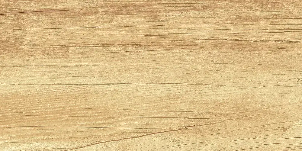 Paradise Wood WT9OAS31 Глянцевая 25x50