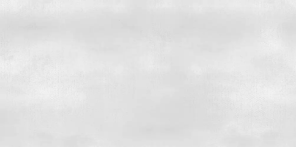 Shape White WT9SHP00 Матовая 24,9x50