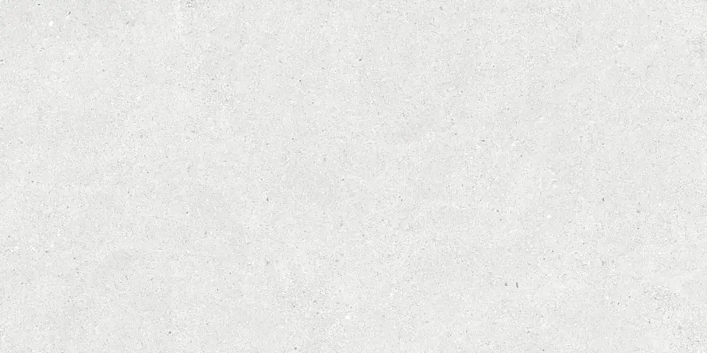 Stonhenge Grey Matt N40031 Керамогранит 60x120