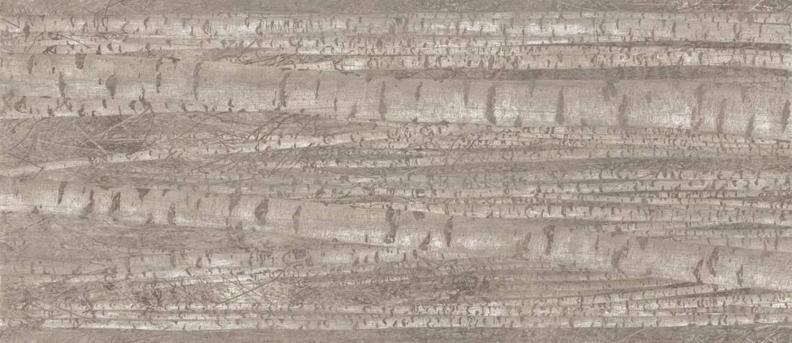 Boost Pro Grove A0LW Керамогранит 120x278