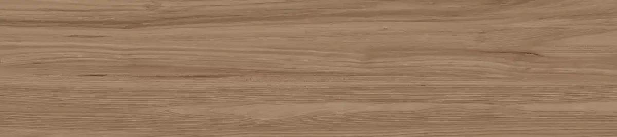 Wooden Marron GP2090DEN21R Матовый Керамогранит 20x90