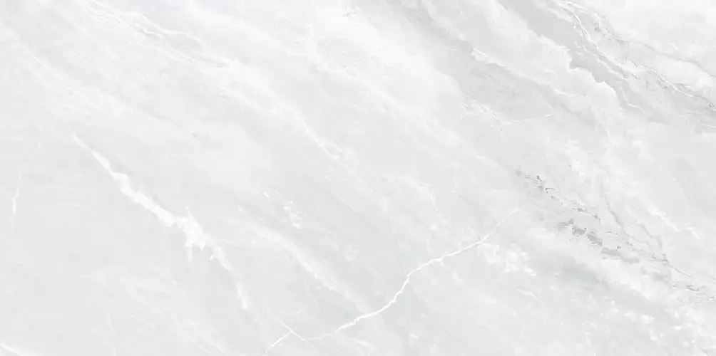 Liberto Light WT9LIB00 Глянцевая 24,9x50