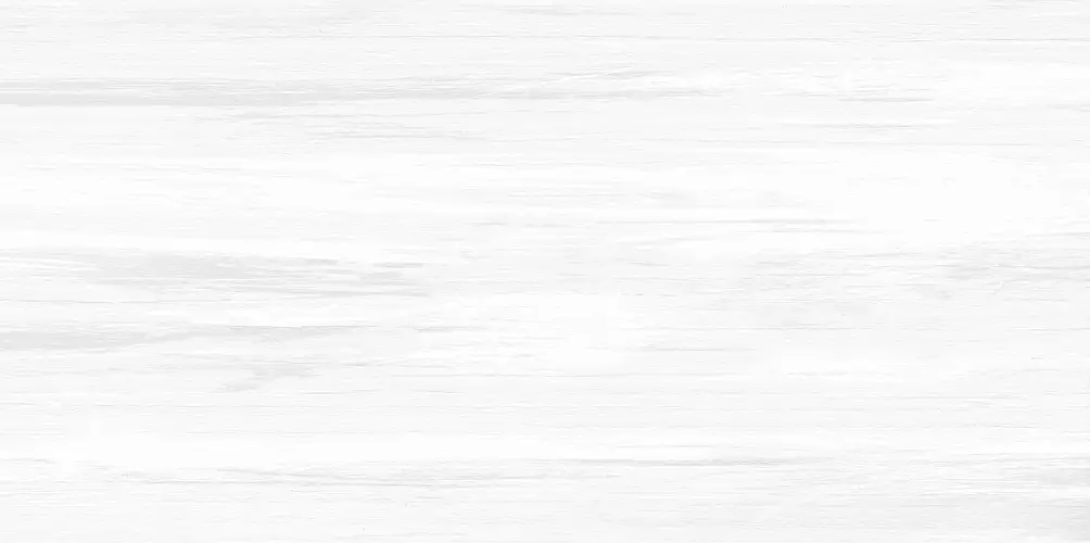 Vincenzo Grigio WT9VIN25 Матовая 24,9x50