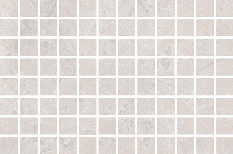 Декор Мозаика Ферони Мозаичный Серый Светлый Матовый MM8351 20x30