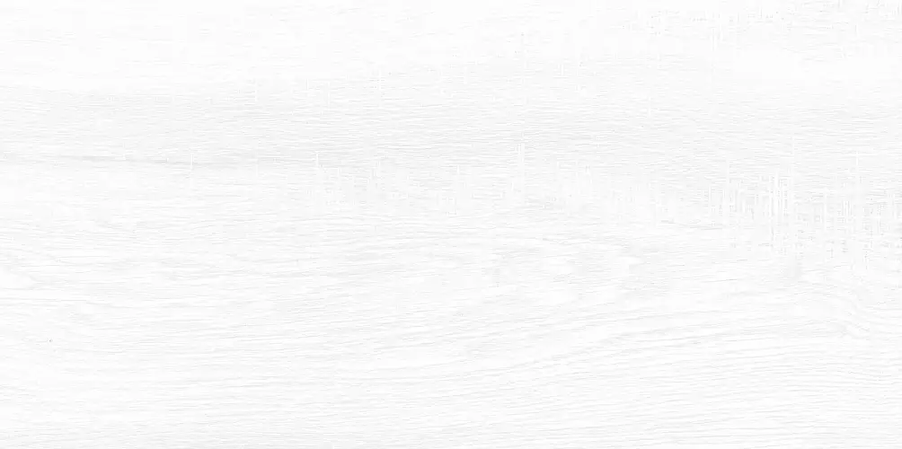 Briole White WT9BRE00 Глянцевая 24,9x50