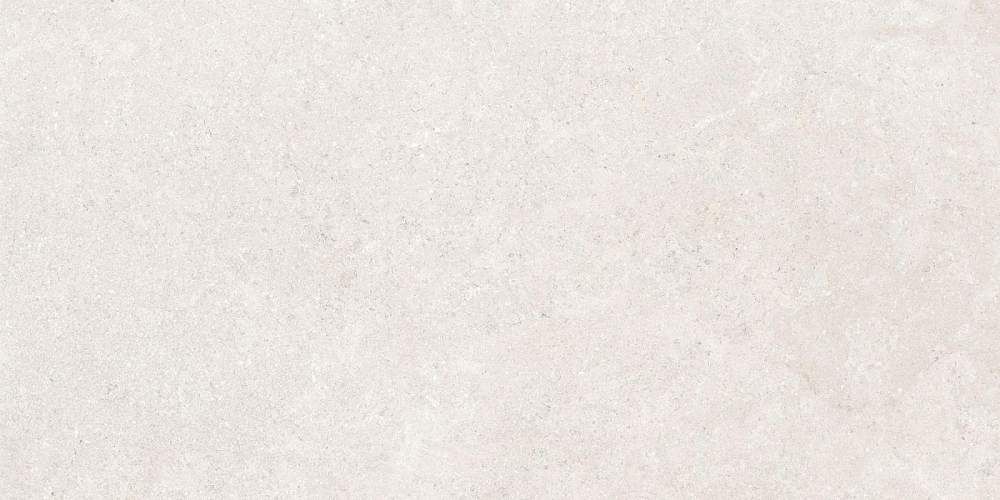 SandStone Белый K948597R Матовый R10A Керамогранит 60x120