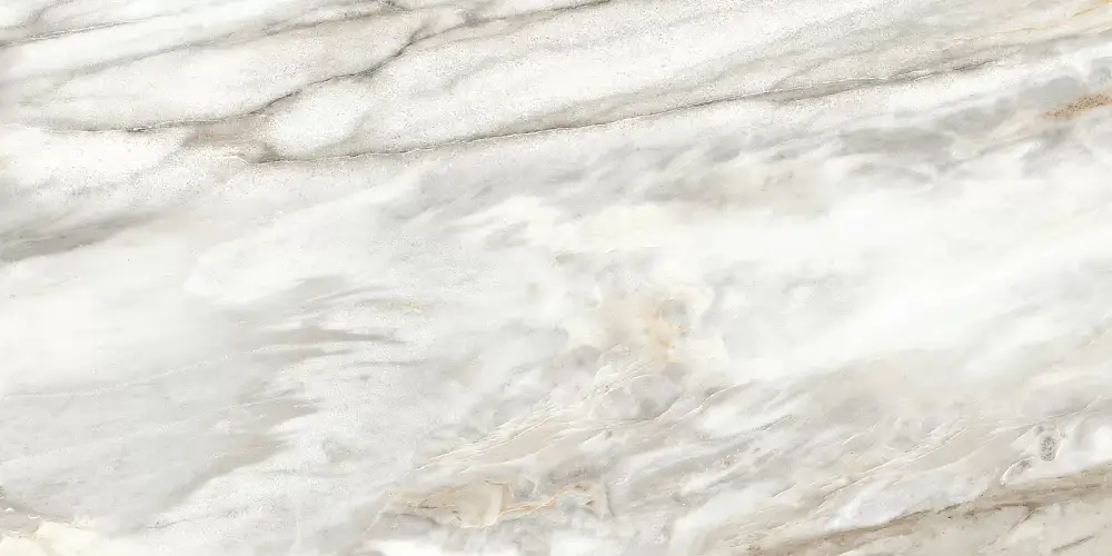 Euphoria Серый TWU2550EPH74 Матовая 24,9x50