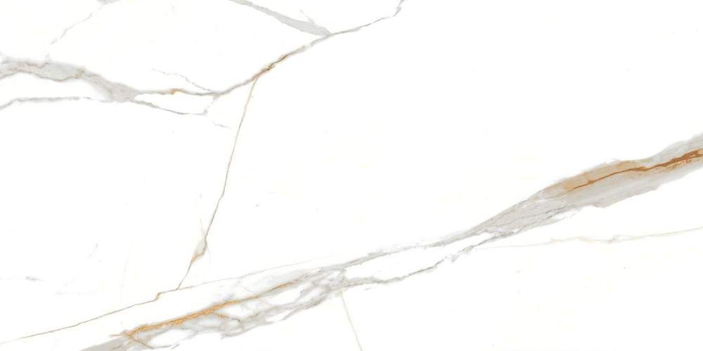 Venato Blanco PRO Матовый Керамогранит 60x120