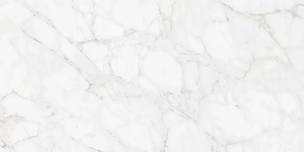 Carrara Giaola Polished N12045 Керамогранит 60x120