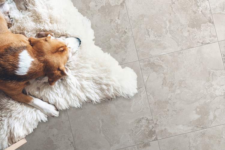 Levenburg Бежевый GT134VGNG Керамогранит 41,2x41,2