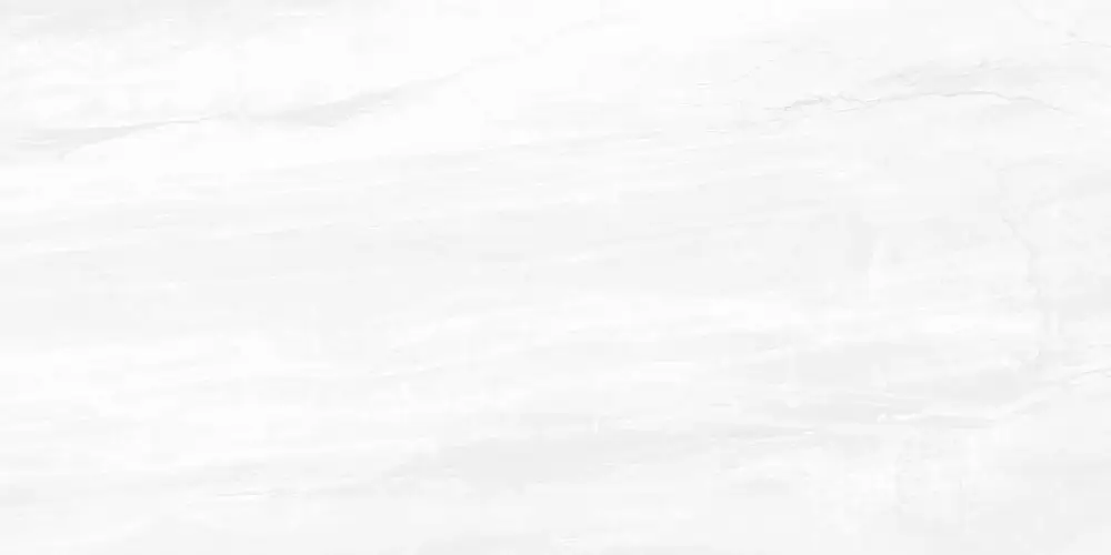 Interni Grey WT9INR15 Глянцевая 25x50