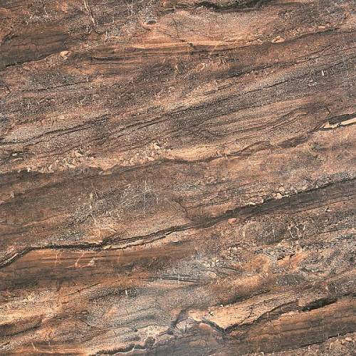 Spark 27 Коричневый 387551 Глянцевый Керамогранит 60x60