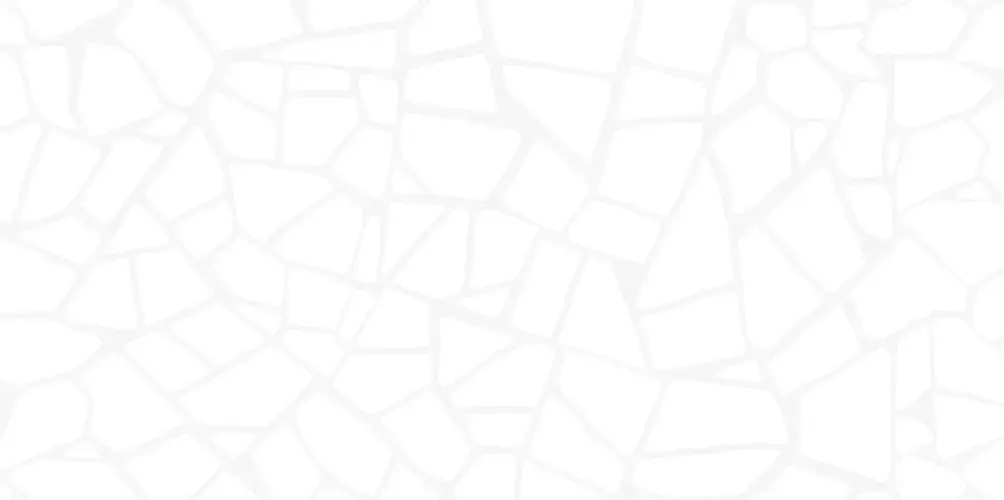 Smalta White WT9SML00 Глянцевая 24,9x50