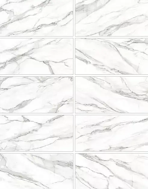 Omega Silver D12053M Матовый Керамогранит 60x120