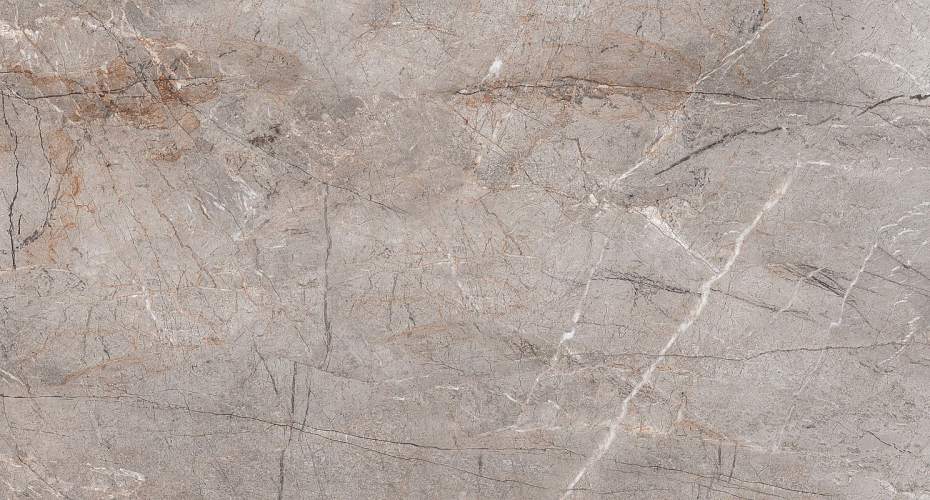 Lester Grey Mat S4431M Серый Керамогранит 60x120