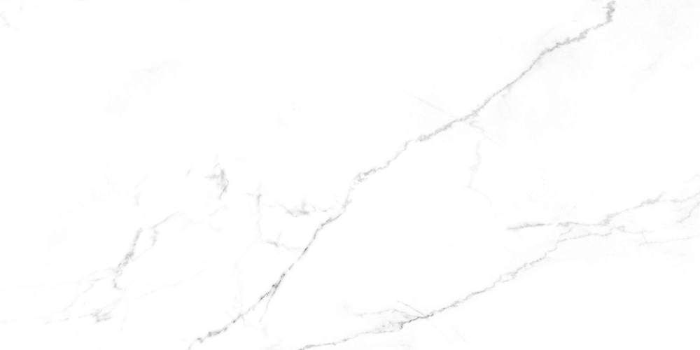 Discovery Blanco SG50002420R Белый Матовый Керамогранит 59,5x119,1