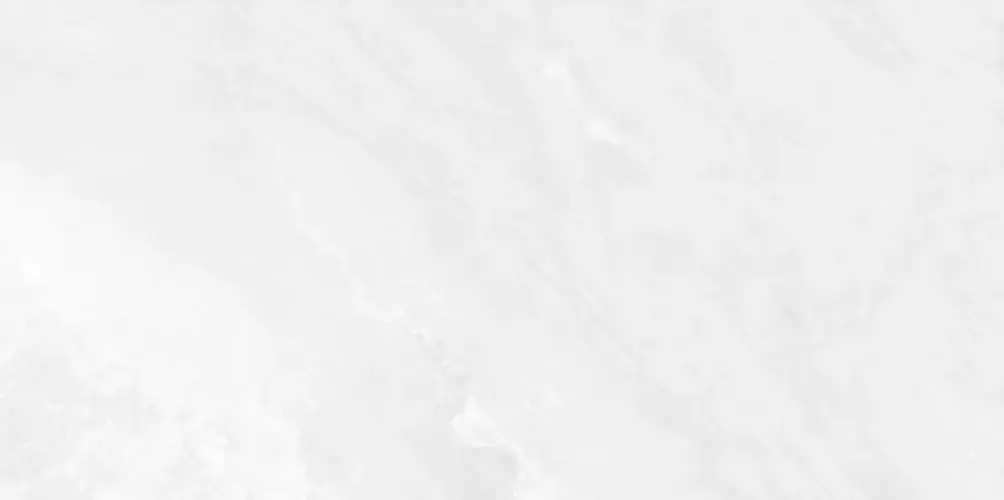 Palmira Light WT9PAL00 Глянцевая 24,9x50