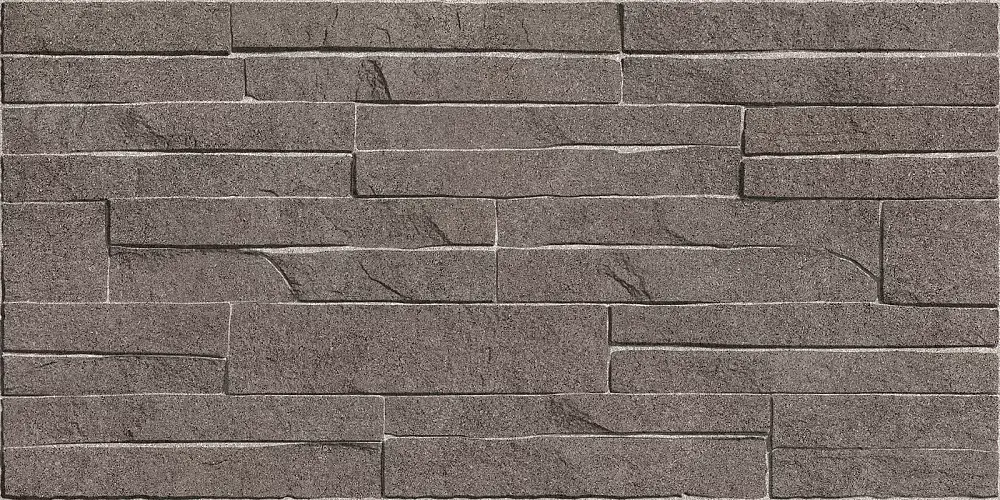 Discover Коричневый TWU2550DCV24 Матовая 24,9x50