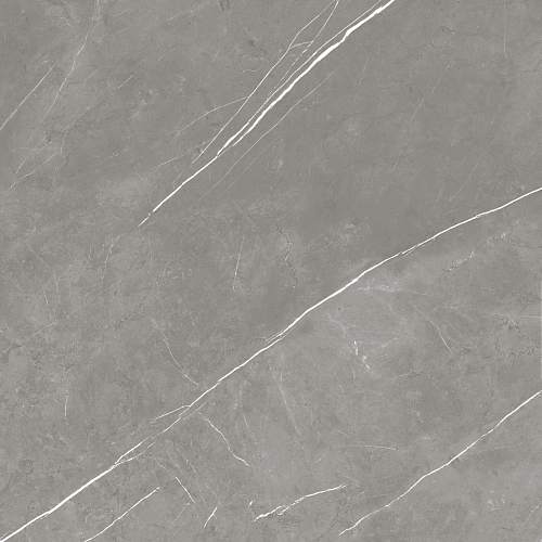 Elegant Grey Lapp Керамогранит 80x80