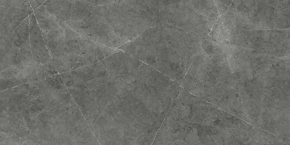 Nioba Темно-серый GT1206013009LR Керамогранит 60x120
