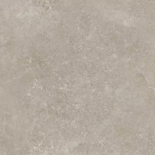 RC Shell LG Керамогранит 60x60