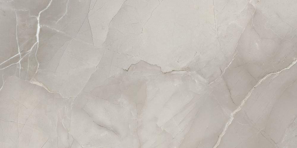 Passion Lux 90 Grey Глянцевая 45x90