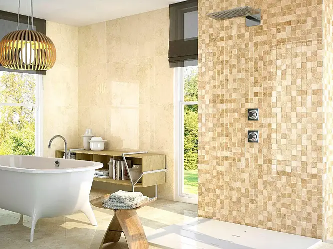 Коллекция Saloni Ceramica Terme 31x60