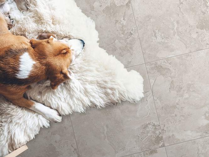 Коллекция GLOBAL TILE Levenburg